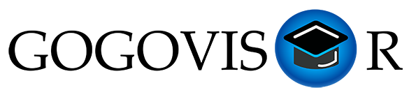 高高飛翔gogovisor logo